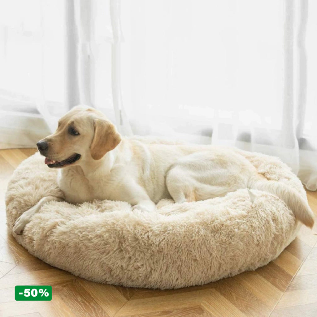 DOGCLOUD™ – Tan suave como dormir en una nube