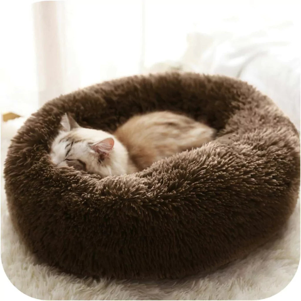 DOGCLOUD™ – Tan suave como dormir en una nube